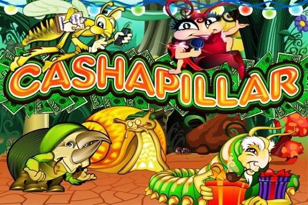 07808 cashapillar